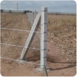 Postes de Concreto